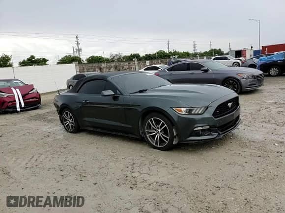 2016 Ford Mustang EcoBoost Premium with VIN 1FATP8UH1G5222122, listed as a Copart auction lot 81104205 with 148,939 mi miles and Salvage title. Bid and sale history available at DreamBid. Image 13.