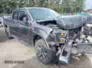 2017 Ford F-150 XL z VIN 1FTEW1EF1HFB45502, wystawiony jako IAAI lot #43426611 z przebiegiem 148 466 mil mil oraz . Historia ofert i sprzedaży dostępna na DreamBid. Obrazek 1.