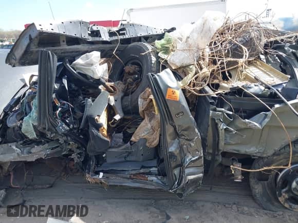 2002 Chevrolet Silverado 1500 LS with VIN 1GCEC14V92Z315175, listed as a IAAI auction lot 41918707 with Not provided miles and . Bid and sale history available at DreamBid. Image 11.