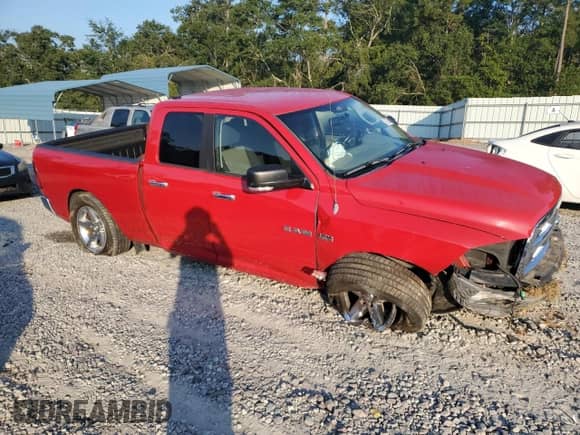 2010 Dodge 1500 SLT with VIN 1D7RB1GT1AS204065, listed as a Copart auction lot 70768245 with 176,263 mi miles and Salvage title. Bid and sale history available at DreamBid. Image 4.