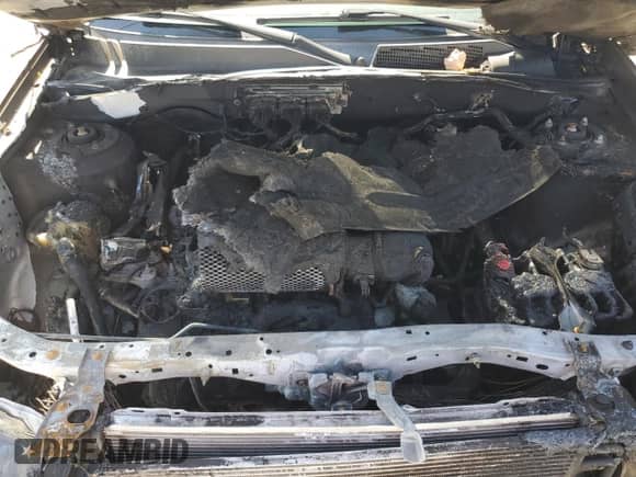 2011 Ford Escape XLT с VIN 1FMCU9DG1BKC53649, выставлен на аукционе Copart как лот 64397225 с пробегом Не указан миль и На запчасти • Non repairable. История ставок и продаж доступна на DreamBid. Изображение 12.