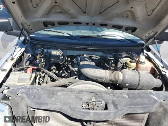 2005 Ford F-150 STX z VIN 1FTRX02W65KB47780, wystawiony jako Copart lot #79226154 z przebiegiem 229 189 mil mil oraz Szkoda całkowita • Salvage title. Historia ofert i sprzedaży dostępna na DreamBid. Obrazek 11.