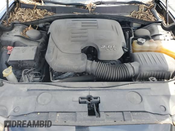 2014 Dodge Charger SE with VIN 2C3CDXBG9EH177433, listed as a Copart auction lot 60559955 with 111,129 mi miles and Salvage title. Bid and sale history available at DreamBid. Image 11.