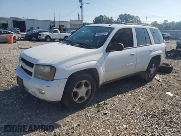 2009 Chevrolet TrailBlazer 1LT z VIN 1GNDT33S092116542, wystawiony jako Copart lot #60866784 z przebiegiem 254 686 mil mil oraz Szkoda całkowita • Salvage title. Historia ofert i sprzedaży dostępna na DreamBid. Obrazek 1.