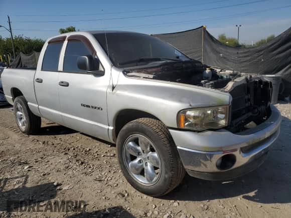 2005 Dodge 1500 SLT with VIN 1D7HA18N05S324914, listed as a Copart auction lot 81325715 with Not provided miles and Clean title. Bid and sale history available at DreamBid. Image 4.