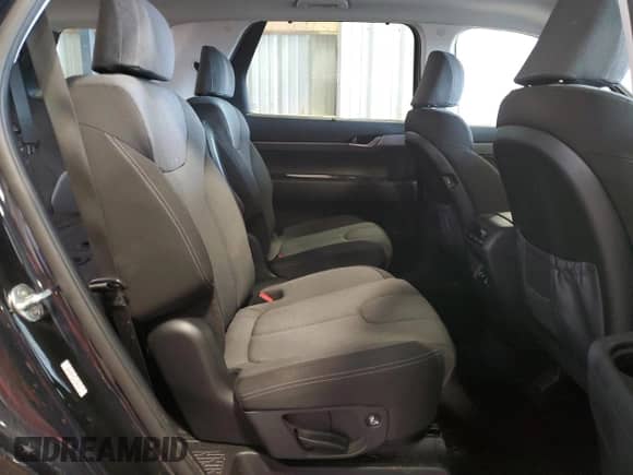 2020 Hyundai Palisade SEL с VIN KM8R3DHE4LU104411, выставлен на аукционе Copart как лот 85367205 с пробегом 90 018 миль миль и Списание • Salvage title. История ставок и продаж доступна на DreamBid. Изображение 11.