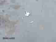 2009 Ford Explorer XLT with VIN 1FMEU73EX9UA35463, listed as a IAAI auction lot 42898042 with 139,026 mi miles and . Bid and sale history available at DreamBid. Image 12.