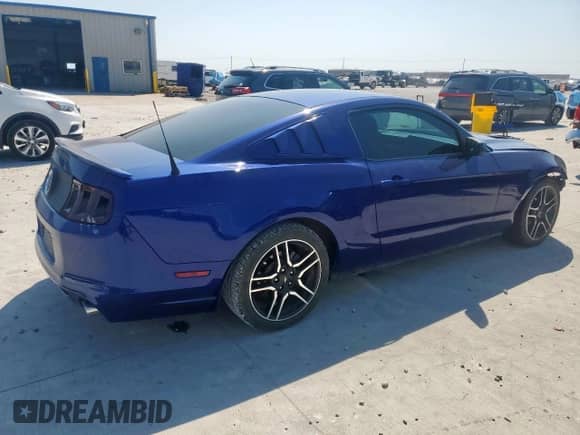 2014 Ford Mustang GT with VIN 1ZVBP8CF6E5204327, listed as a Copart auction lot 71999555 with 113,127 mi miles and Salvage title. Bid and sale history available at DreamBid. Image 3.