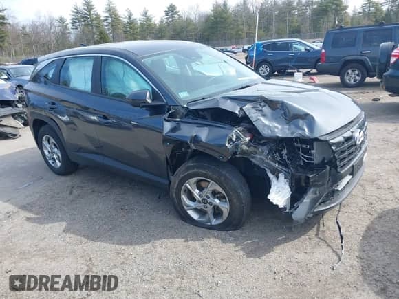 2024 Hyundai Tucson SE with VIN 5NMJACDE6RH336225, listed as a IAAI auction lot 41869167 with 22,924 mi miles and . Bid and sale history available at DreamBid. Image 1.