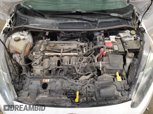 2015 Ford Fiesta SE z VIN 3FADP4BJ5FM118020, wystawiony jako Copart lot #69458035 z przebiegiem 100 895 mil mil oraz Czysty tytuł • Clean title. Historia ofert i sprzedaży dostępna na DreamBid. Obrazek 11.