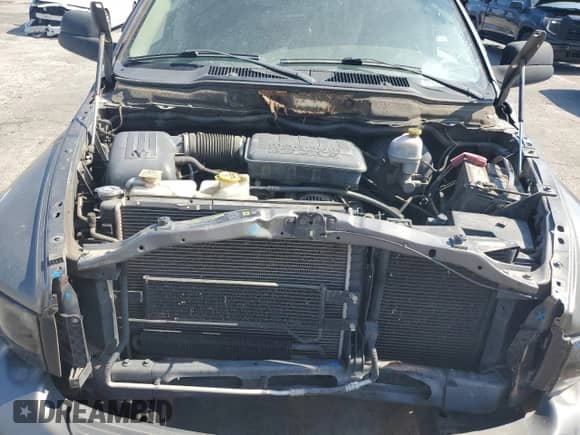 2005 Dodge 1500 SLT z VIN 1D7HA18N15S333878, wystawiony jako Copart lot #81817785 z przebiegiem 177 512 mil mil oraz Szkoda całkowita • Salvage title. Historia ofert i sprzedaży dostępna na DreamBid. Obrazek 11.