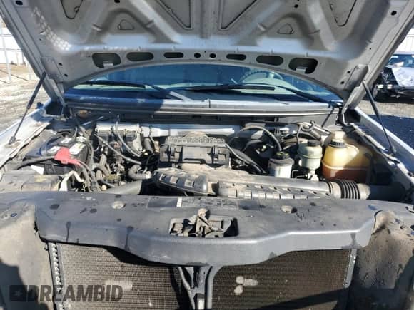 2005 Ford F-150 XL z VIN 1FTRF14535NB98598, wystawiony jako Copart lot #88928675 z przebiegiem 214 304 mil mil oraz Szkoda całkowita • Salvage title. Historia ofert i sprzedaży dostępna na DreamBid. Obrazek 11.