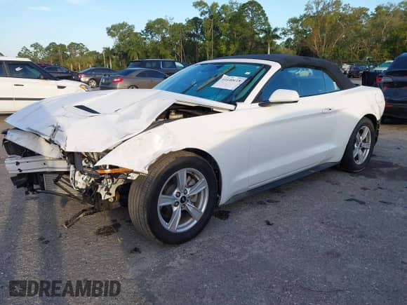 2021 Ford Mustang EcoBoost с VIN 1FATP8UH9M5147083, выставлен на аукционе IAAI как лот 41640618 с пробегом 12 290 миль миль и . История ставок и продаж доступна на DreamBid. Изображение 18.