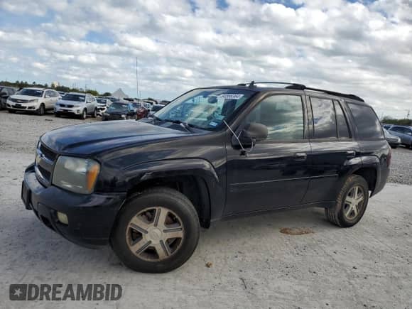 2006 Chevrolet TrailBlazer LT with VIN 1GNES13M862135865, listed as a Copart auction lot 84566364 with 209,354 mi miles and Salvage title. Bid and sale history available at DreamBid. Image 1.
