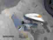 2007 Chevrolet Malibu 1FL с VIN 1G1ZS58F77F153157, выставлен на аукционе IAAI как лот 39472720 с пробегом 242 060 миль миль и . История ставок и продаж доступна на DreamBid. Изображение 12.