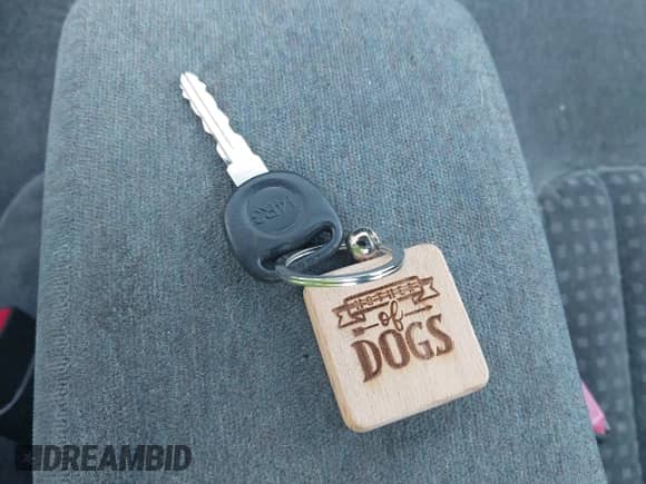 2001 Chevrolet S-10 LS with VIN 1GCCS19581K109243, listed as a IAAI auction lot 42494794 with 119,687 mi miles and . Bid and sale history available at DreamBid. Image 11.