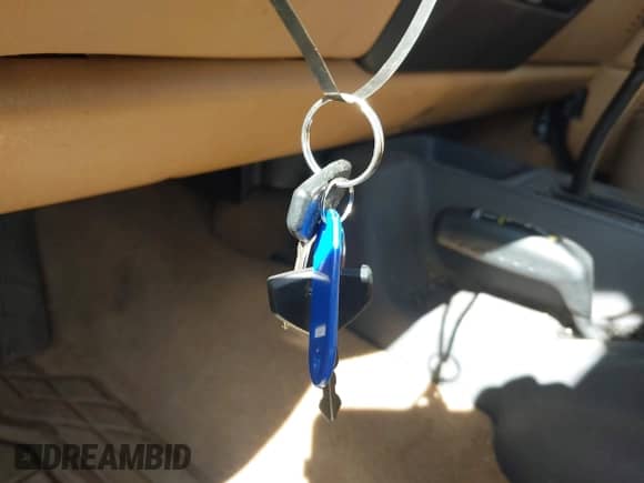 1997 Jeep Wrangler Sport с VIN 1J4FY19S1VP476103, выставлен на аукционе IAAI как лот 43384131 с пробегом 158 818 миль миль и . История ставок и продаж доступна на DreamBid. Изображение 11.