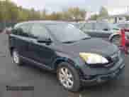 2007 Honda CR-V EX-L с VIN JHLRE48767C086749, выставлен на аукционе IAAI как лот 43443946 с пробегом 175 170 миль миль и . История ставок и продаж доступна на DreamBid. Изображение 1.