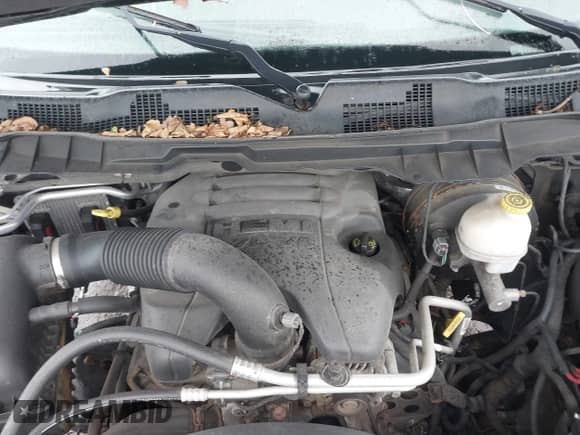 2014 Ram 1500 Express z VIN 1C6RR7FT8ES197512, wystawiony jako IAAI lot #42340402 z przebiegiem 139 637 mil mil oraz . Historia ofert i sprzedaży dostępna na DreamBid. Obrazek 10.