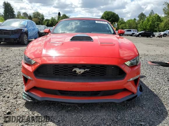2019 Ford Mustang EcoBoost с VIN 1FATP8UH5K5109847, выставлен на аукционе Copart как лот 56287815 с пробегом 65 671 миль миль и Списание • Salvage title. История ставок и продаж доступна на DreamBid. Изображение 5.
