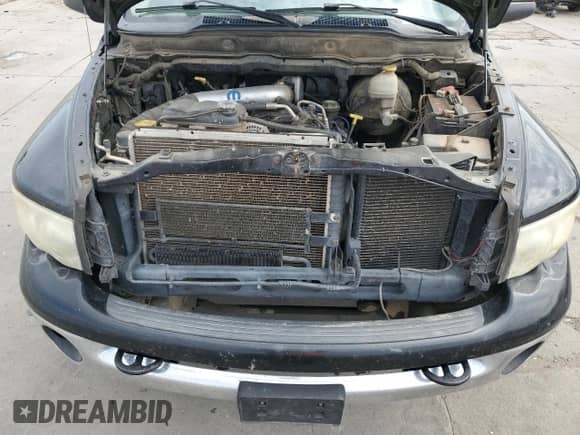 2003 Dodge 2500 ST with VIN 1D7KU28DX3J568924, listed as a Copart auction lot 80341815 with 193,352 mi miles and Non repairable. Bid and sale history available at DreamBid. Image 11.