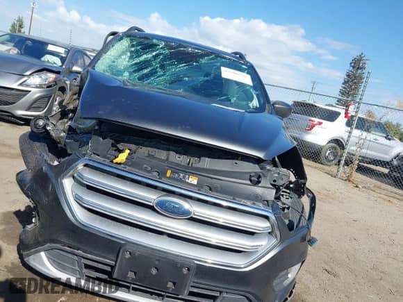 2017 Ford Escape SE с VIN 1FMCU9GD3HUA51913, выставлен на аукционе IAAI как лот 43200596 с пробегом 123 226 миль миль и . История ставок и продаж доступна на DreamBid. Изображение 13.