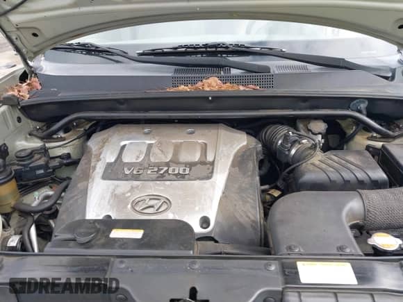 2006 Hyundai Tucson GLS with VIN KM8JN72D86U257564, listed as a IAAI auction lot 43199464 with 99,221 mi miles and . Bid and sale history available at DreamBid. Image 10.