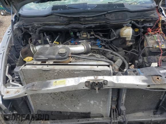 2003 Dodge 1500 ST z VIN 1D7HA16K63J620869, wystawiony jako Copart lot #60936475 z przebiegiem 100 599 mil mil oraz Szkoda całkowita • Salvage title. Historia ofert i sprzedaży dostępna na DreamBid. Obrazek 11.
