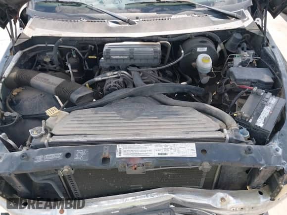 1998 Dodge 1500 with VIN 1B7HC16X8WS699766, listed as a IAAI auction lot 42938295 with 183,458 mi miles and . Bid and sale history available at DreamBid. Image 10.