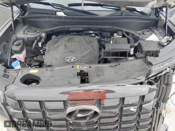 2025 Hyundai Palisade SEL Premium with VIN KM8R44GE1SU881450, listed as a Copart auction lot 65095975 with 9,224 mi miles and Salvage title. Bid and sale history available at DreamBid. Image 12.