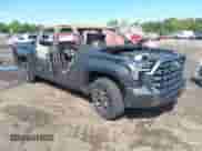 2024 Toyota Tundra Platinum with VIN 5TFNA5DB6RX231615, listed as a IAAI auction lot 43170256 with Not provided miles and . Bid and sale history available at DreamBid. Image 1.