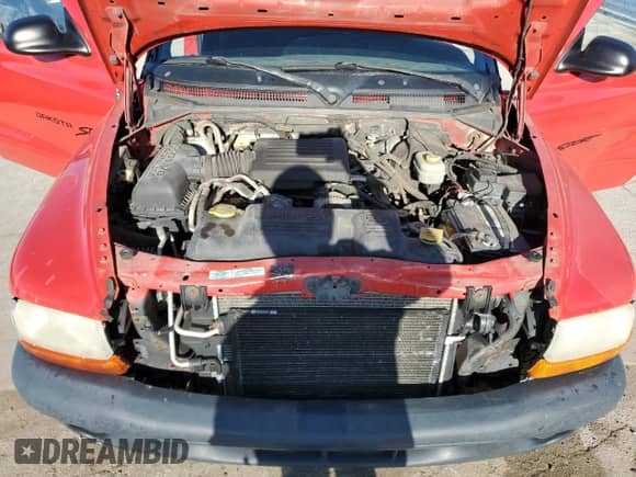 2000 Dodge Dakota Sport with VIN 1B7GG22N1YS780069, listed as a Copart auction lot 52019815 with 164,869 mi miles and Salvage title. Bid and sale history available at DreamBid. Image 12.