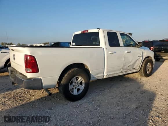 2010 Dodge 1500 ST with VIN 1D7RB1GK2AS196274, listed as a Copart auction lot 80502814 with 243,641 mi miles and Salvage title. Bid and sale history available at DreamBid. Image 3.