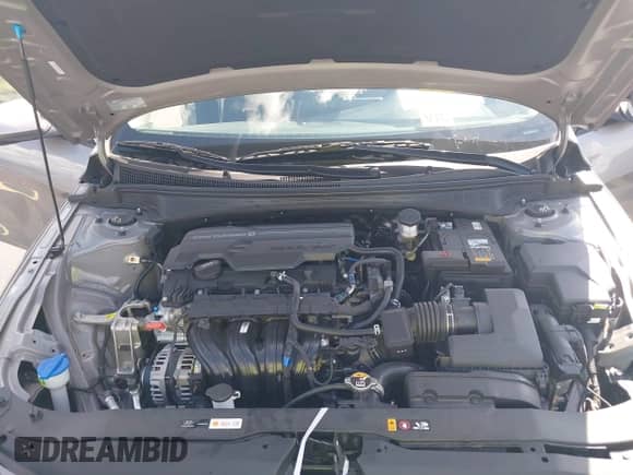 2024 Hyundai Elantra SEL z VIN KMHLM4DG0RU832858, wystawiony jako IAAI lot #43229755 z przebiegiem 11 058 mil mil oraz . Historia ofert i sprzedaży dostępna na DreamBid. Obrazek 10.