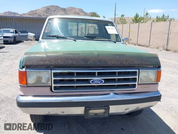 1989 Ford F-150 z VIN 1FTEX14N2KKB68484, wystawiony jako IAAI lot #42510816 z przebiegiem 93 551 mil mil oraz . Historia ofert i sprzedaży dostępna na DreamBid. Obrazek 6.