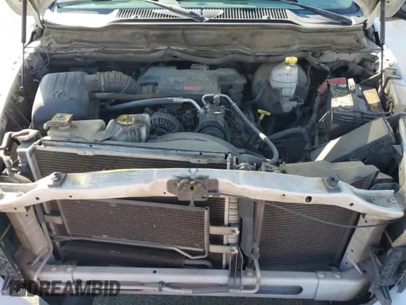 2007 Dodge 1500 SLT z VIN 3D7KR19D17G809089, wystawiony jako Copart lot #81653915 z przebiegiem 219 573 mil mil oraz Szkoda całkowita • Salvage title. Historia ofert i sprzedaży dostępna na DreamBid. Obrazek 11.