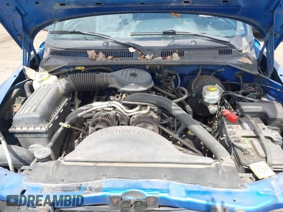 1999 Dodge Dakota SLT z VIN 1B7FL26X1XS247267, wystawiony jako IAAI lot #43113508 z przebiegiem 70 956 mil mil oraz . Historia ofert i sprzedaży dostępna na DreamBid. Obrazek 10.