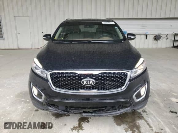 2018 Kia Sorento EX with VIN 5XYPH4A14JG387007, listed as a Copart auction lot 50230915 with 113,433 mi miles and Salvage title. Bid and sale history available at DreamBid. Image 5.
