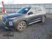 2021 Hyundai Palisade SEL с VIN KM8R44HE2MU185598, выставлен на аукционе IAAI как лот 42992923 с пробегом 90 505 миль миль и . История ставок и продаж доступна на DreamBid. Изображение 17.