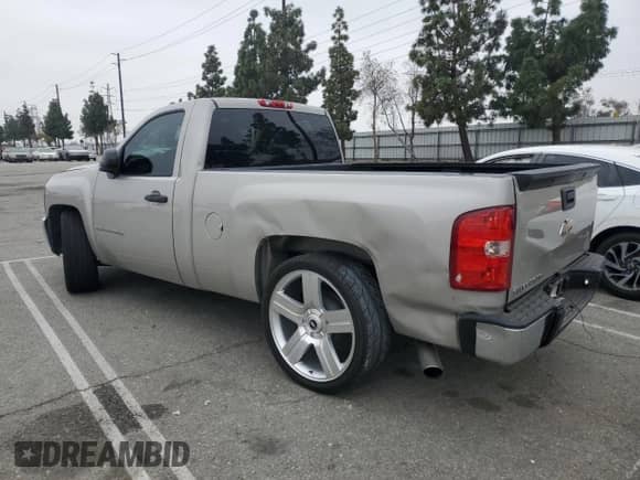 2009 Chevrolet Silverado 1500 Work Truck with VIN 1GCEC14X29Z221991, listed as a Copart auction lot 53161025 with 164,426 mi miles and Salvage title. Bid and sale history available at DreamBid. Image 2.