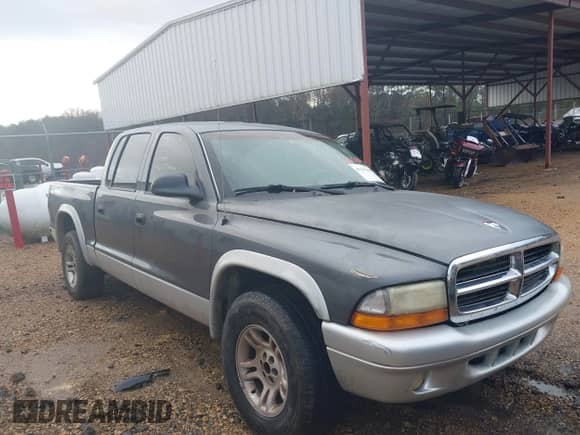 2004 Dodge Dakota SLT with VIN 1D7HL48N34S750719, listed as a IAAI auction lot 41135108 with Not provided miles and . Bid and sale history available at DreamBid. Image 6.