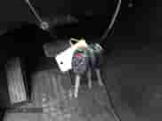 2014 Subaru Forester Premium with VIN JF2SJAEC5EH536824, listed as a IAAI auction lot 43509713 with 73,076 mi miles and . Bid and sale history available at DreamBid. Image 11.