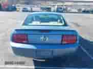 2007 Ford Mustang Deluxe с VIN 1ZVFT80N075289029, выставлен на аукционе IAAI как лот 43347766 с пробегом 97 769 миль миль и . История ставок и продаж доступна на DreamBid. Изображение 16.