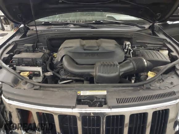 2011 Jeep Grand Cherokee Laredo с VIN 1J4RR4GGXBC687619, выставлен на аукционе IAAI как лот 42425033 с пробегом 157 036 миль миль и . История ставок и продаж доступна на DreamBid. Изображение 10.