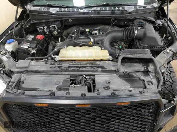 2019 Ford F-150 XL with VIN 1FTEW1EPXKFC31343, listed as a Copart auction lot 67032455 with 101,185 mi miles and Clean title. Bid and sale history available at DreamBid. Image 11.