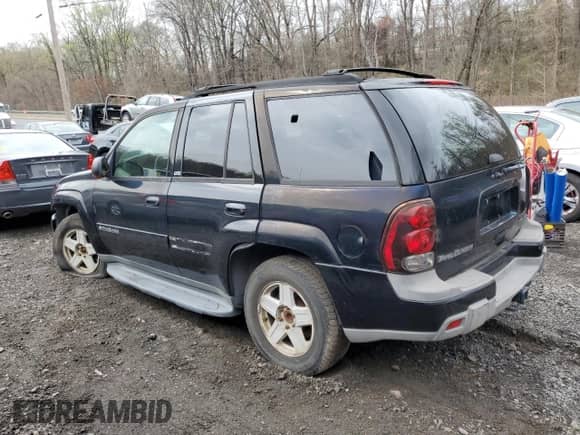 2002 Chevrolet TrailBlazer LS with VIN 1GNDT13S922463670, listed as a Copart auction lot 51736525 with 173,699 mi miles and Salvage title. Bid and sale history available at DreamBid. Image 2.