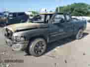 1999 Dodge 1500 z VIN 3B7HC13Y1XM576172, wystawiony jako Copart lot #60841115 z przebiegiem Nie podano mil oraz Nie do naprawy • Non repairable. Historia ofert i sprzedaży dostępna na DreamBid. Obrazek 1.