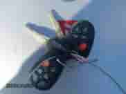 2006 Toyota Sienna XLE z VIN 5TDZA22C06S511978, wystawiony jako IAAI lot #41551414 z przebiegiem 228 839 mil mil oraz . Historia ofert i sprzedaży dostępna na DreamBid. Obrazek 11.