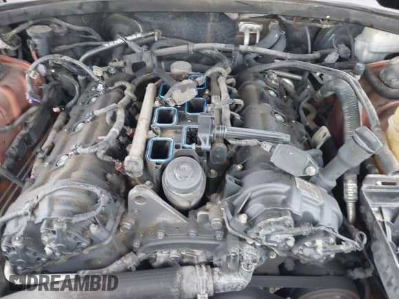 2011 Dodge Charger SE with VIN 2B3CL3CG7BH525460, listed as a IAAI auction lot 43278607 with 222,024 mi miles and . Bid and sale history available at DreamBid. Image 6.