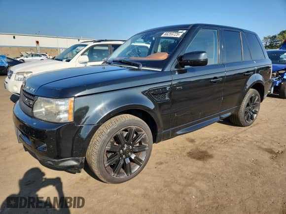 2010 Land Rover Range Rover Sport HSE Lux with VIN SALSK2D43AA226727, listed as a Copart auction lot 66259725 with 133,458 mi miles and Salvage title. Bid and sale history available at DreamBid. Image 1.